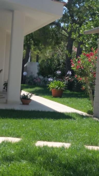 Villa A Marina Di 오스투니 외부 사진